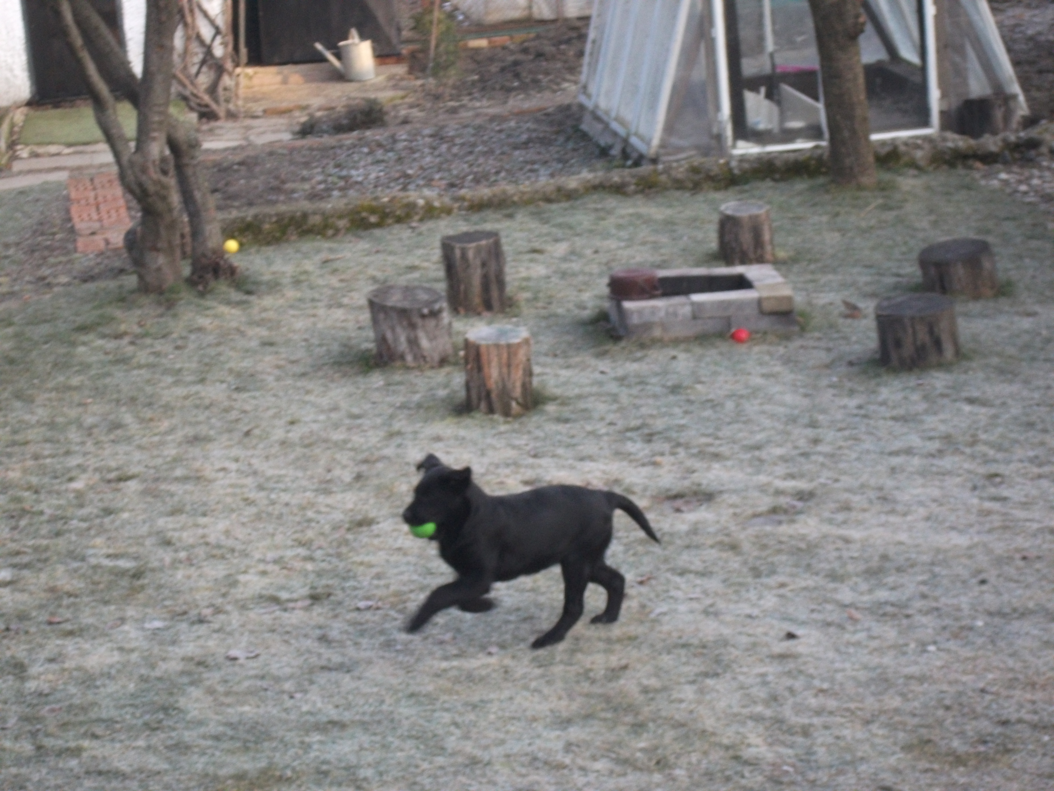 DSCF1221.JPG