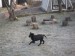 DSCF1221.JPG
