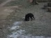 DSCF1225.JPG
